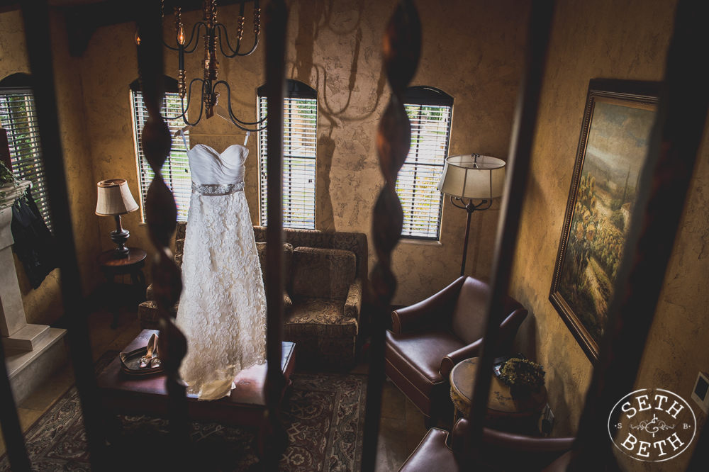 Vineyard Destination Wedding - Weddings at Gervasi Vineyard, Canton OH