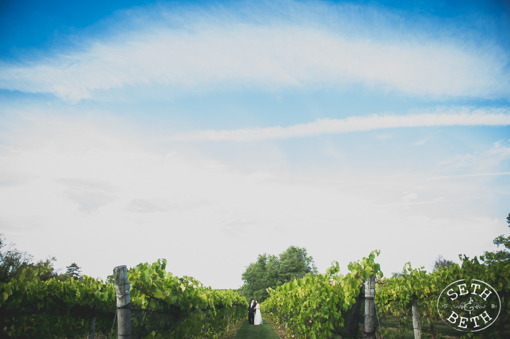 Vineyard Destination Wedding - Weddings at Gervasi Vineyard, Canton OH