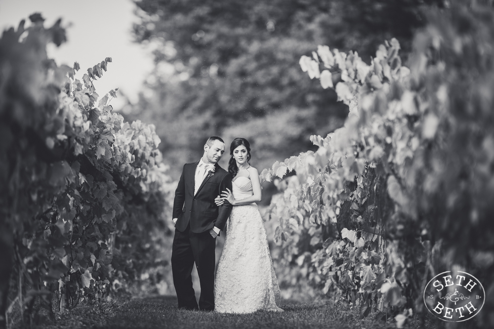 Vineyard Destination Wedding - Weddings at Gervasi Vineyard, Canton OH