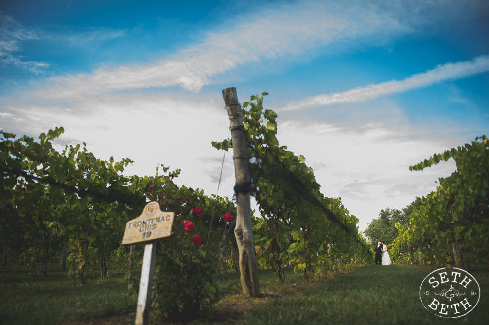 Vineyard Destination Wedding - Weddings at Gervasi Vineyard, Canton OH