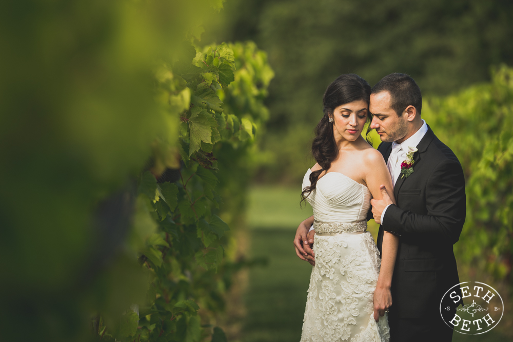 Vineyard Destination Wedding - Weddings at Gervasi Vineyard, Canton OH