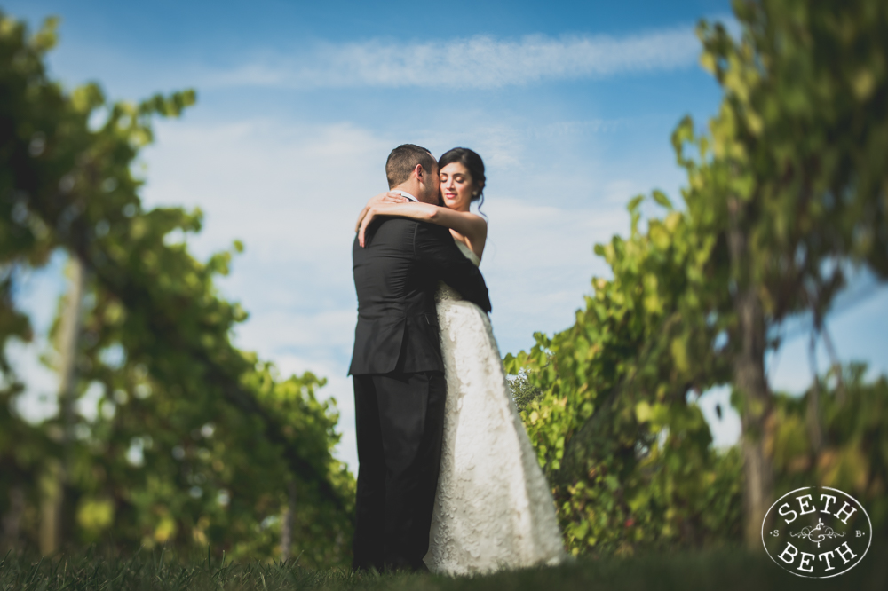 Vineyard Destination Wedding - Weddings at Gervasi Vineyard, Canton OH