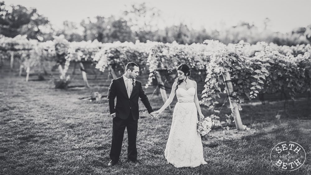 Vineyard Destination Wedding - Weddings at Gervasi Vineyard, Canton OH