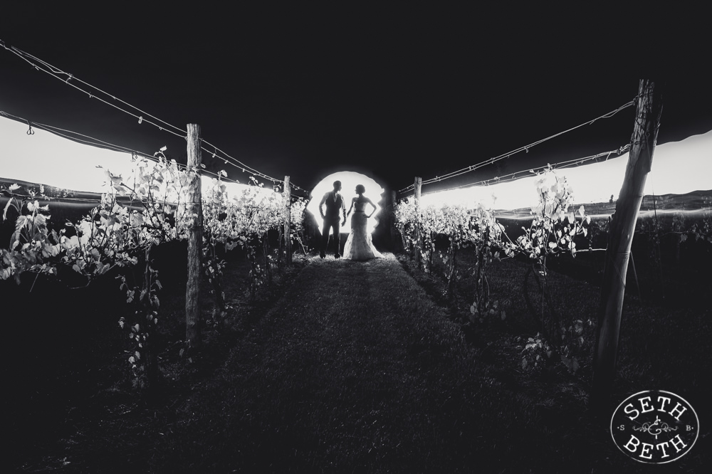 Gervasi Vineyard Wedding