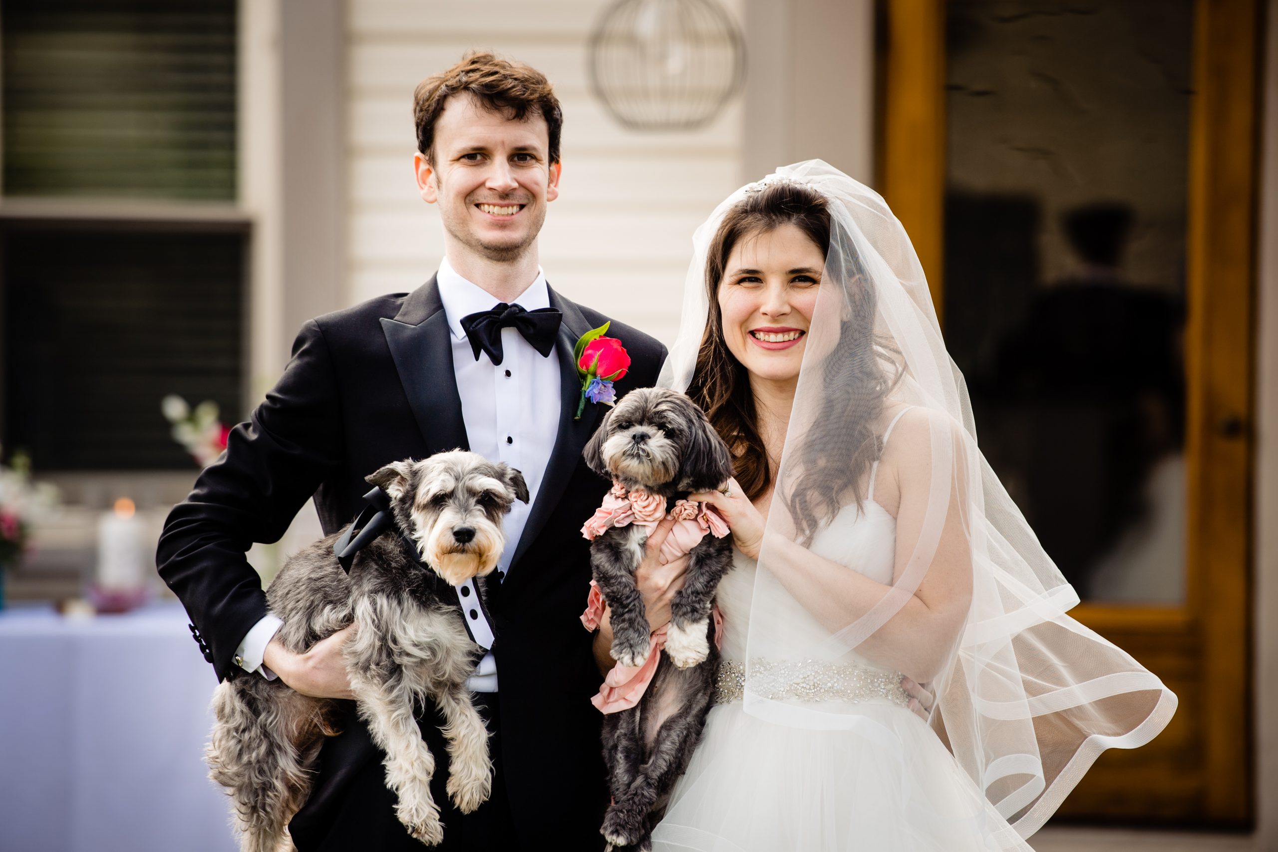 A first family portrait of a bride and groom and their two dogs.