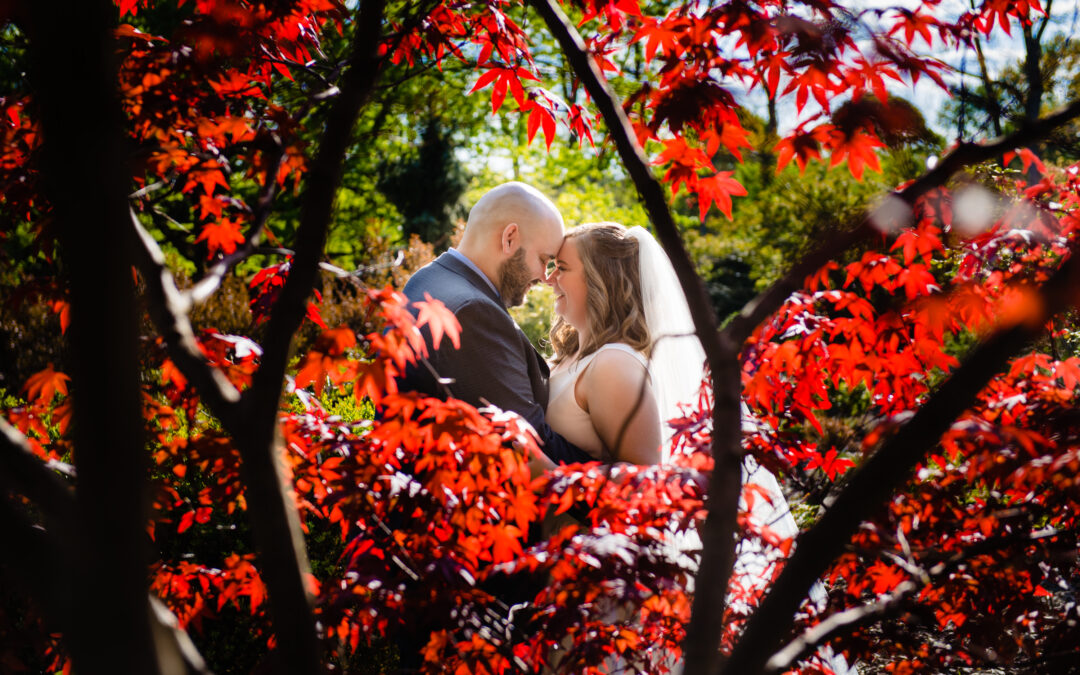 bride and groom at whetstone park of roses