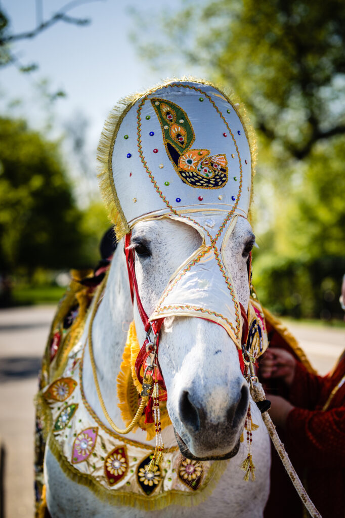 Columbus Indian Wedding Photographer