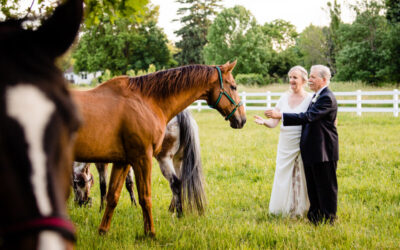 Wadsworth Galaxy Inn Wedding | Elaine & Roger