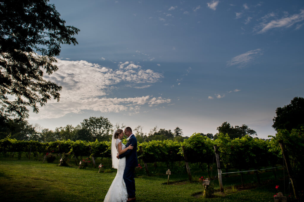 Beautiful Gervasi Vineyard Wedding