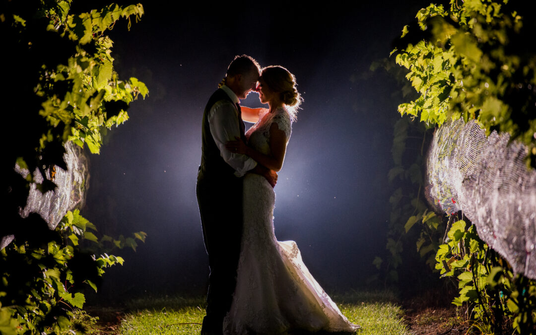 Beautiful Gervasi Vineyard Wedding