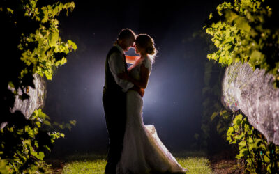 Beautiful Gervasi Vineyard Wedding