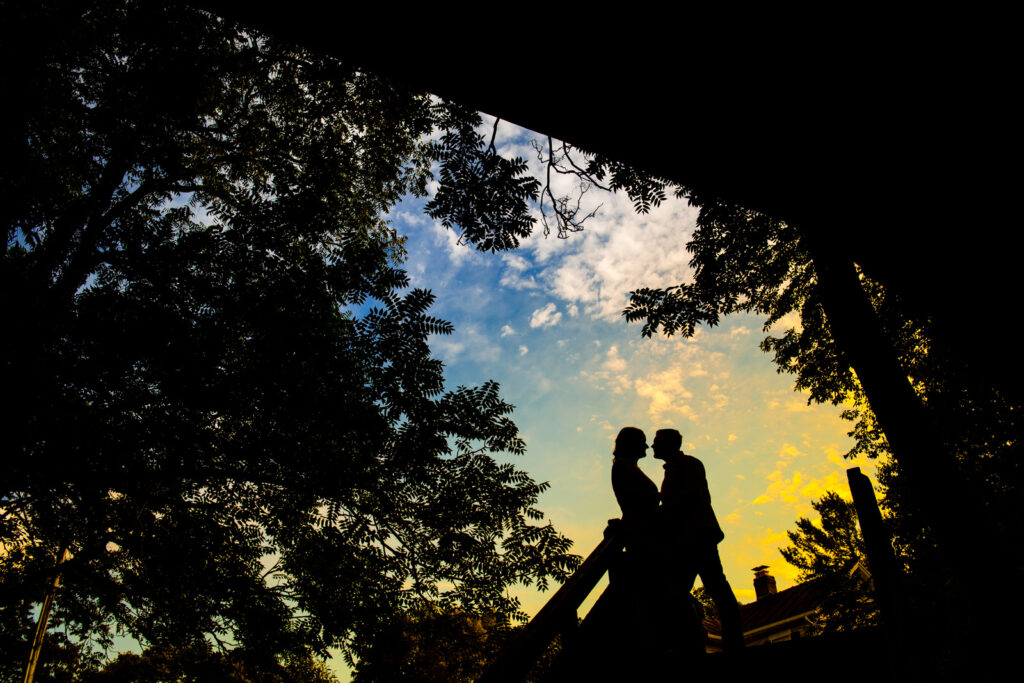 Columbus OH Sunflower Engagement