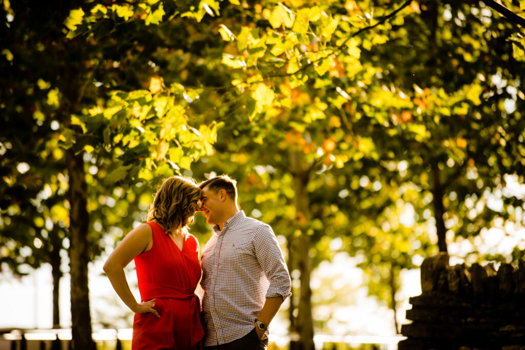 Columbus OH Sunflower Engagement