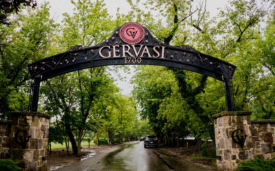 Gervasi Vineyard Pavilion Wedding