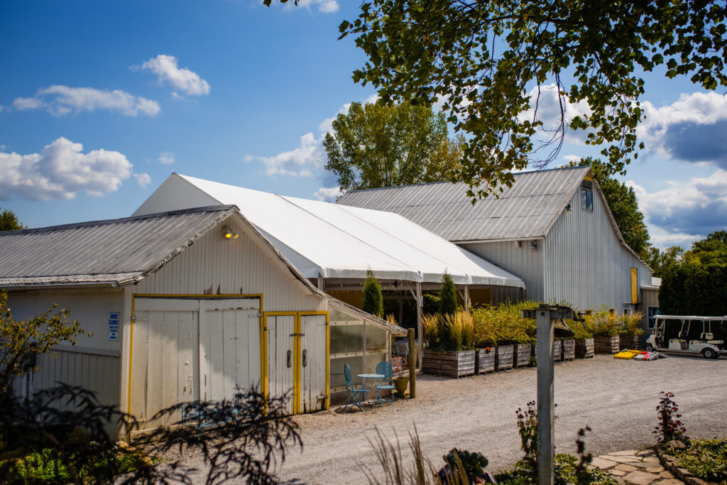 Jorgensen Farms Wedding