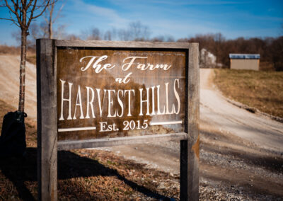 The Farm at Harvest Hills Wedding