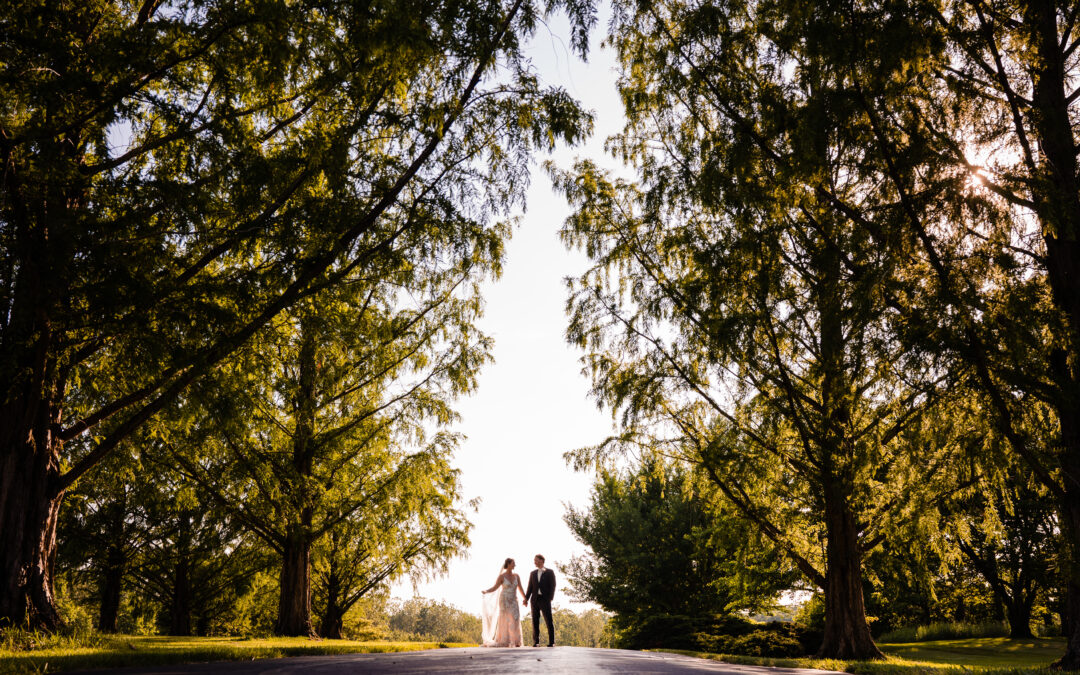 Why Couples Love Seth and Beth: Photography Ohio Testimonials