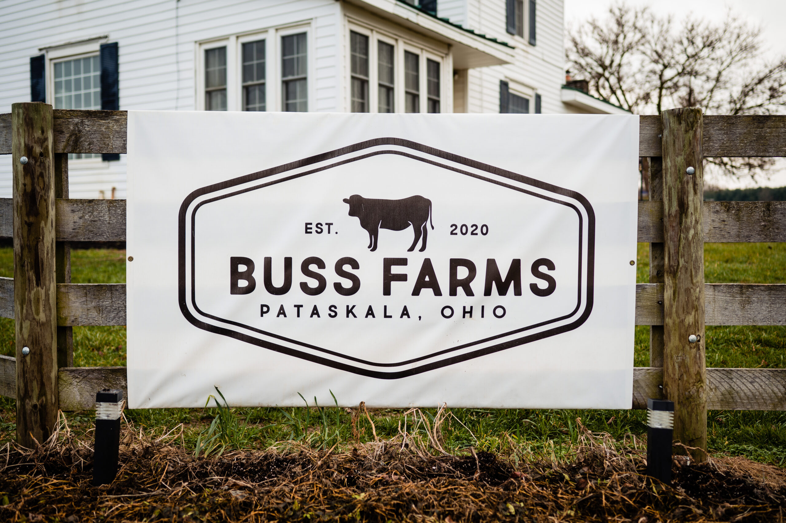 Buss Farms Wedding