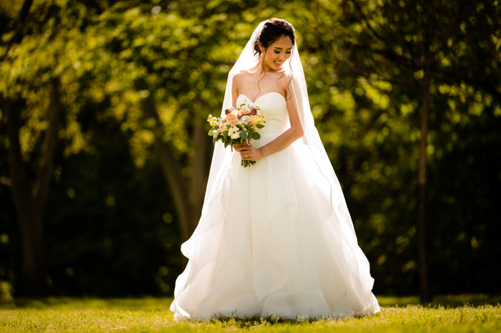 Pictures of Wedding dresses