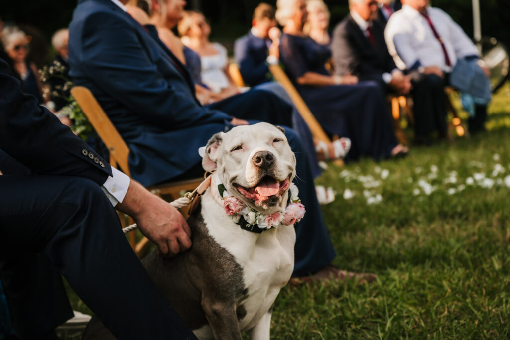 Hocking Hills Scenic Wedding