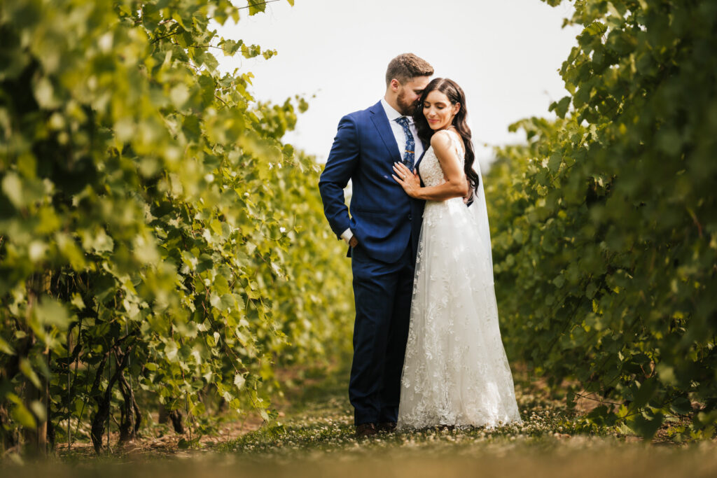 Gervasi Vineyard