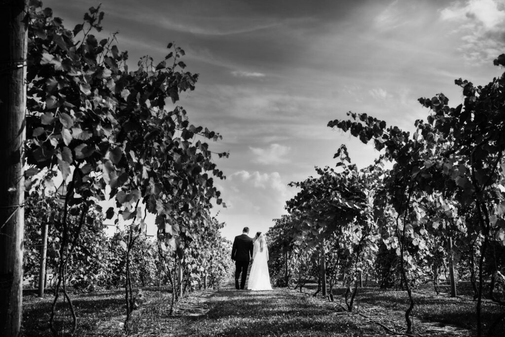 My Dream Canton Photographer