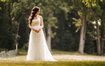 My Dream Canton Photographer at Gervasi Vineyard