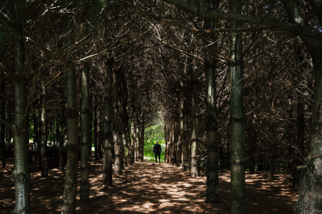 Wildflower Woods Wedding